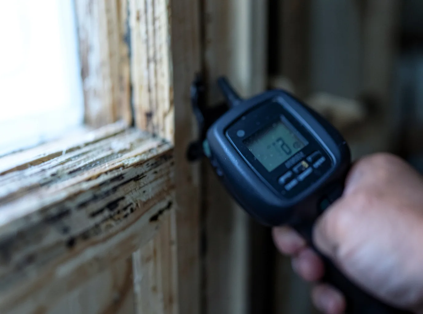 Ceiling Water Damage Repair in Saint Augustine, IL